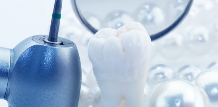 Sed blandit massa vel